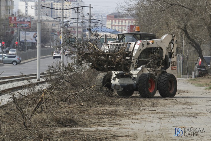 В Улан-Удэ не утихают дискуссии по поводу уничтожения кустарников