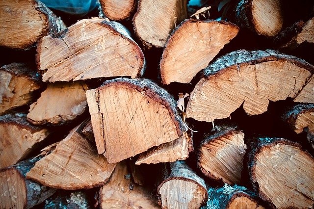 В Бурятии «чёрный» лесоруб подготовил спиленные деревья на продажу