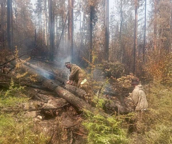 В Бурятии действуют 42 лесных пожара 