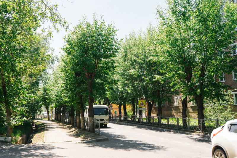 В Улан-Удэ стало безопасней благодаря подрезке деревьев