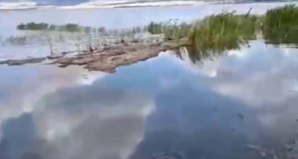 Жители Бурятии бьют тревогу из-за обмеления Гусиного озера