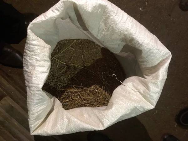 У жителя Бурятии нашли спрятанный мешок конопли 