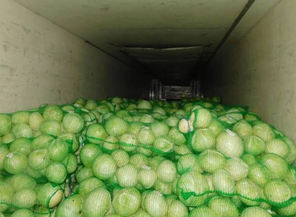 20 тонн капусты ввезли в Бурятию с нарушением 
