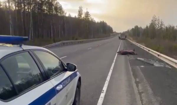 В Иркутской области погиб 25-летний мотоциклист