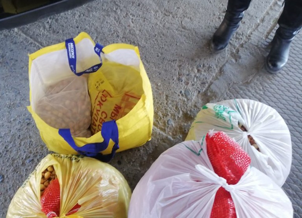 Гражданка Монголии не смогла вывезти из Бурятии 50 кг лука-севка