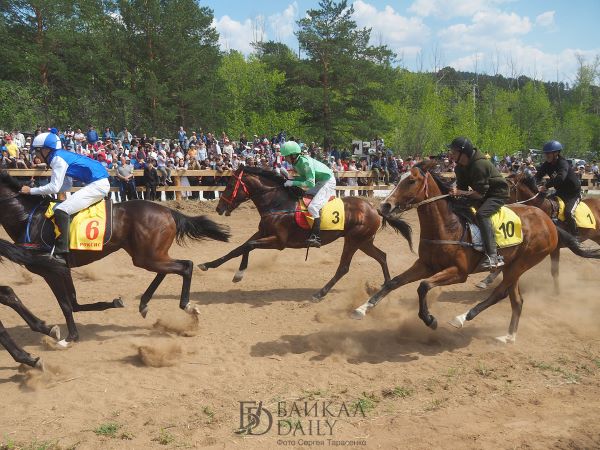 В Улан-Удэ прошёл чемпионат Бурятии по конным скачкам