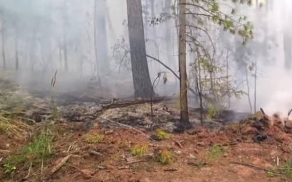 В Бурятии разгорелся крупный лесной пожар