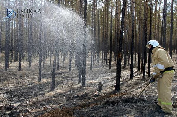 В Бурятии горит более 7 тысяч га леса