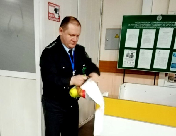 В Иркутске пассажиры из Средней Азии привезли заражённые яблоки