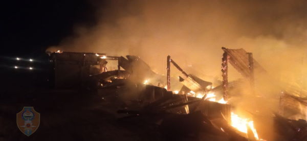 В Бурятии на пожаре погибли 50 коров 