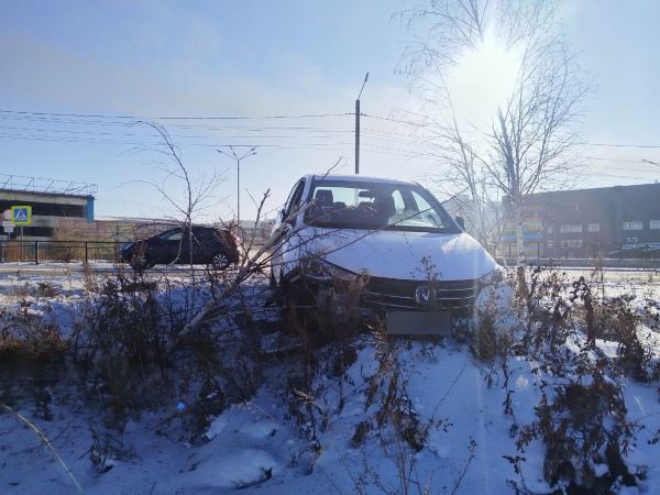 В Улан-Удэ водитель Changan снёс берёзы 