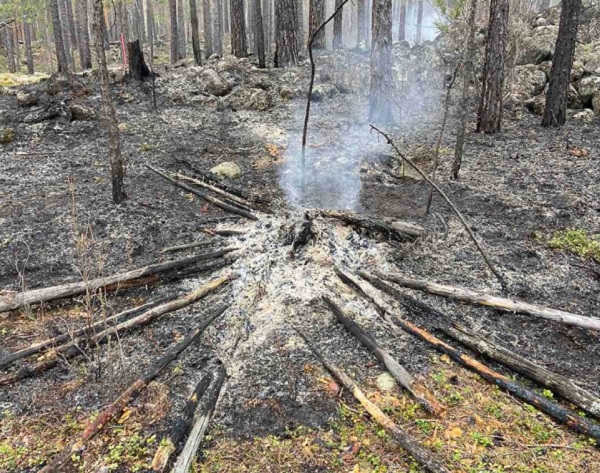 Житель Бурятии устроил лесной пожар, сжигая одежду