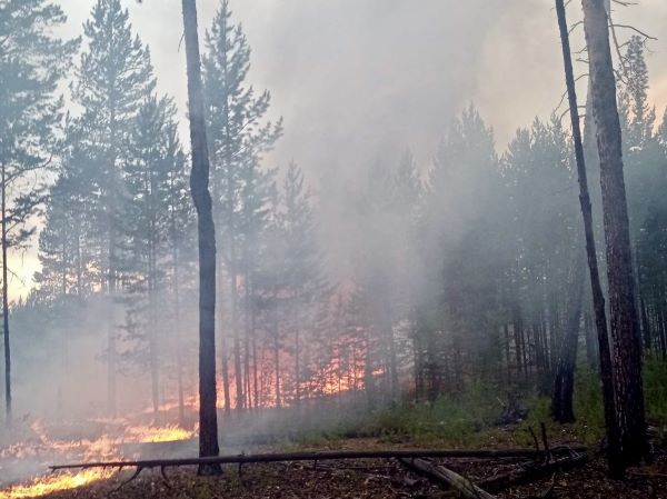 В Бурятии ввели режим ЧС в связи с лесными пожарами