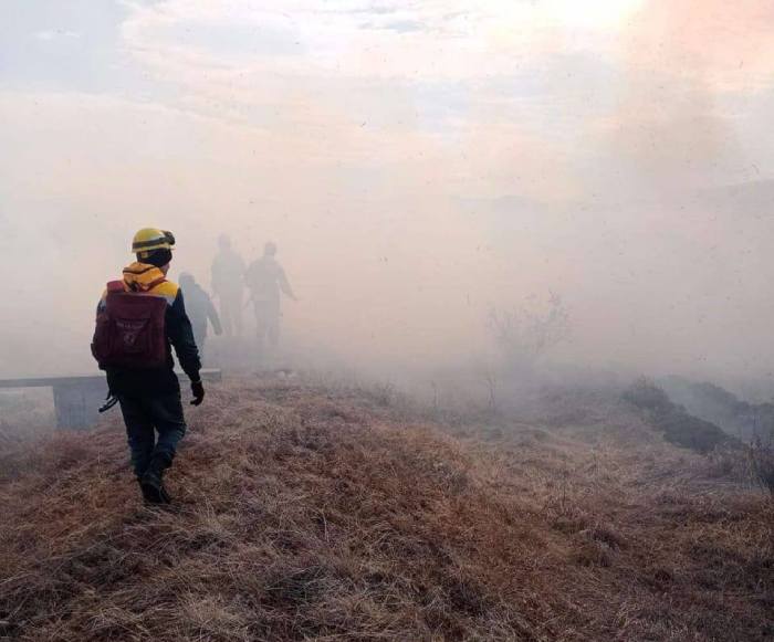 В Бурятии на тушение крупного лесного пожара стягивают все силы