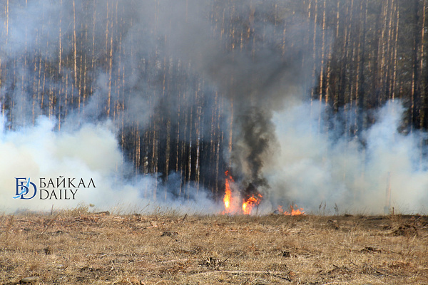 За минувшие сутки в Бурятии обнаружили пять лесных пожаров