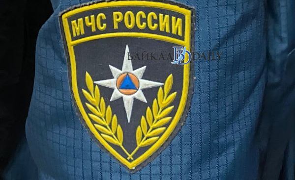 В Иркутской области 12-летняя девочка спасла тонущего 5-летнего мальчика 
