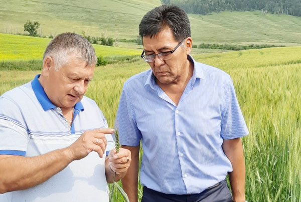 Усть-Ордынский округ принял агрофорум «Байкальский фермер»