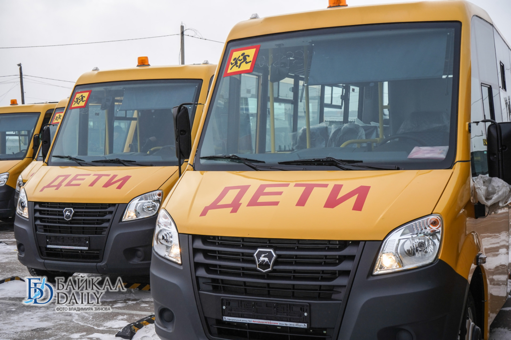 Многодетным Иркутской области предоставят микроавтобусы