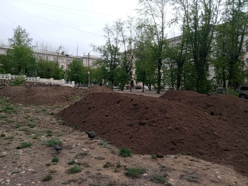 Жители Улан-Удэ посадят новый сквер