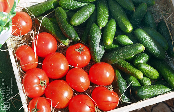 Жителям Бурятии советуют весной есть овощи и больше двигаться