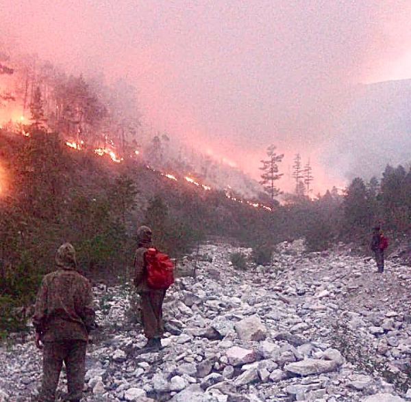 В Бурятии в 5 раз сократилась площадь лесных пожаров 