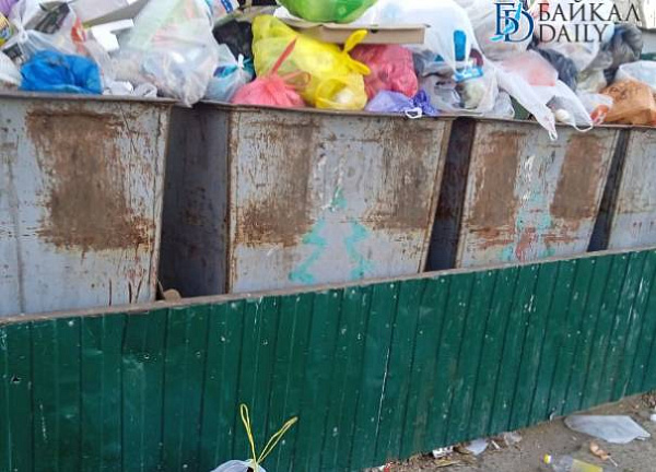 В райцентре в Бурятии не могут найти деньги на ограждение для мусорных баков