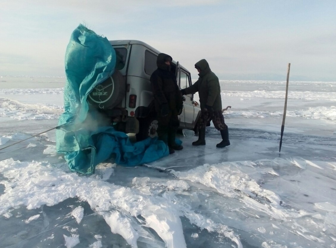 Снег в бурятии сегодня фото