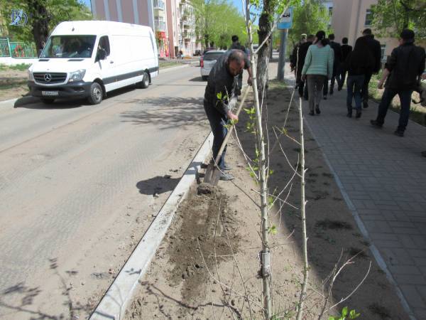 Удэ ремонт. 50 Школа Улан-Удэ ремонт. Улан-Удэ 113 микрорайон СДЭК.