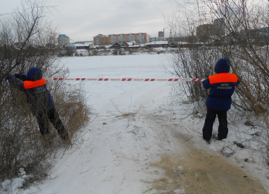 Байкал дейли новости в реальном