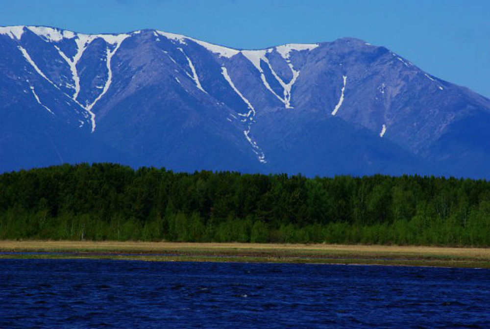 Баргузинский заповедник рисунок