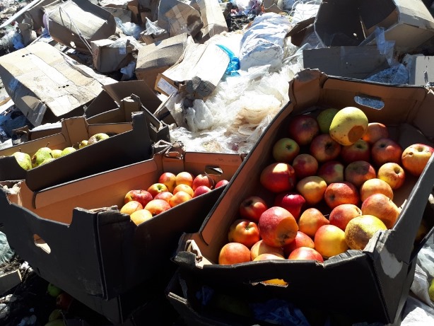 В Улан-Удэ уничтожили почти полторы тонны польских яблок