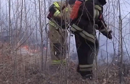 Житель Бурятии поджёг траву и устроил лесной пожар