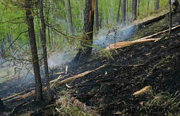 В Бурятии загорелся лес из-за сухой грозы 
